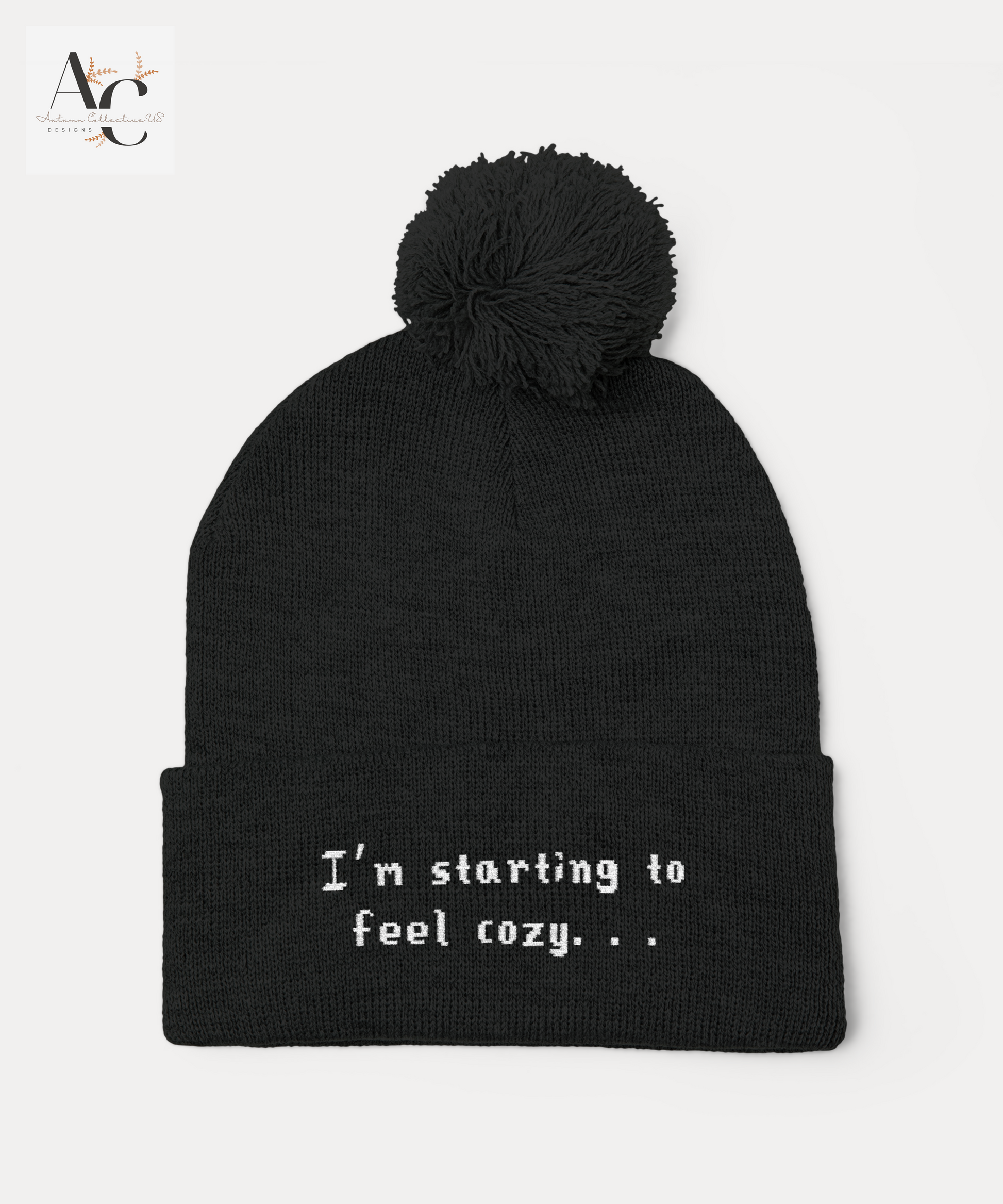 I'm Starting to Feel Cozy. . . Pom-pom Beanie