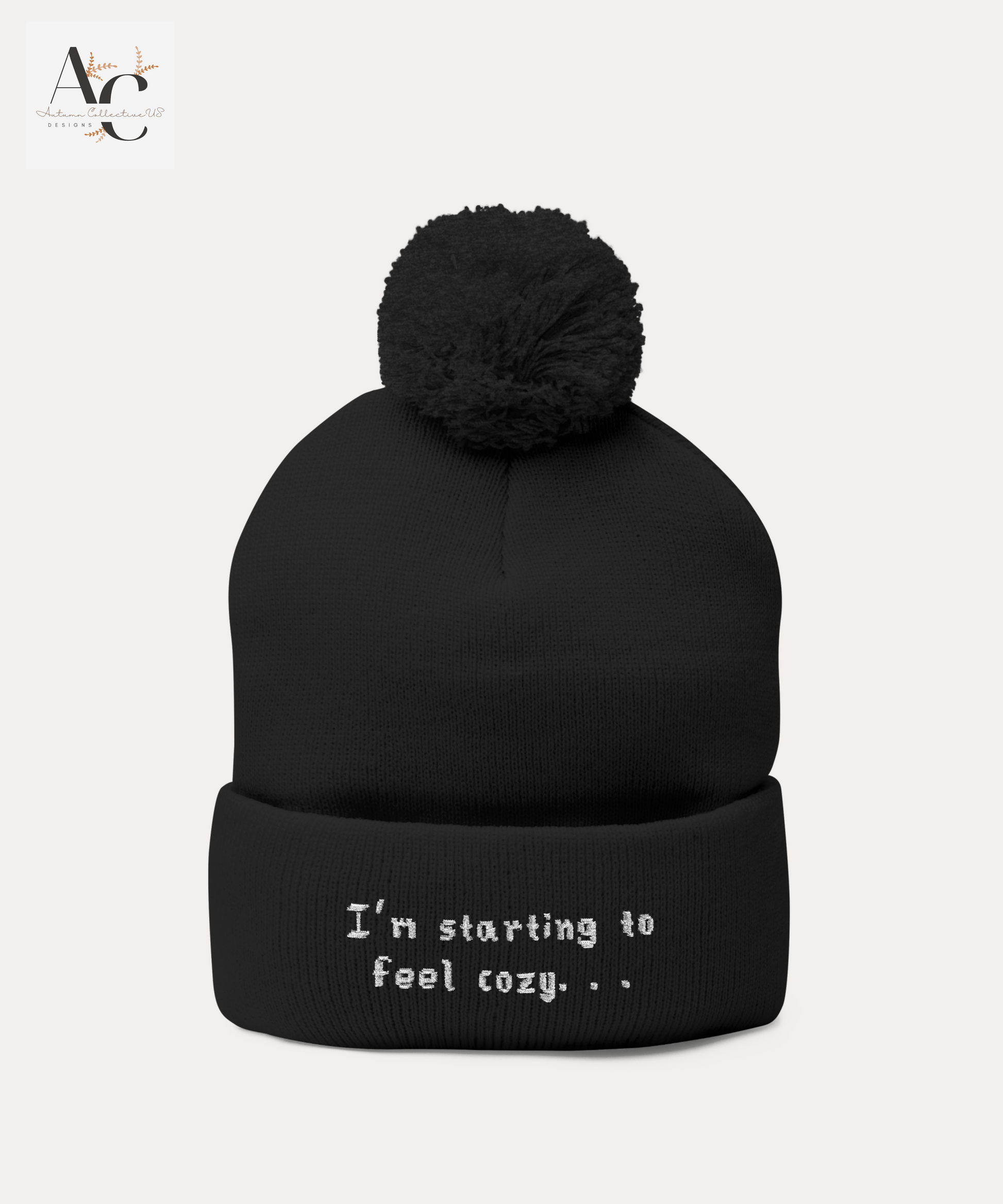 I'm Starting to Feel Cozy. . . Pom-pom Beanie