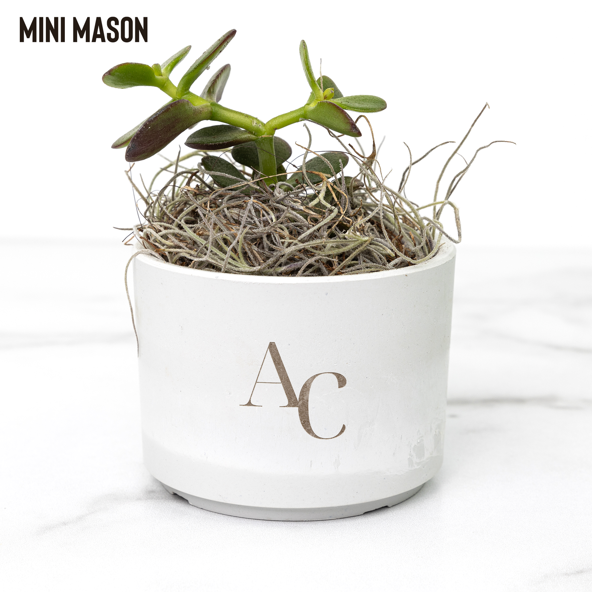 AutumnCollective_Desk_Plant_Mason_Mockup_Mockup.png