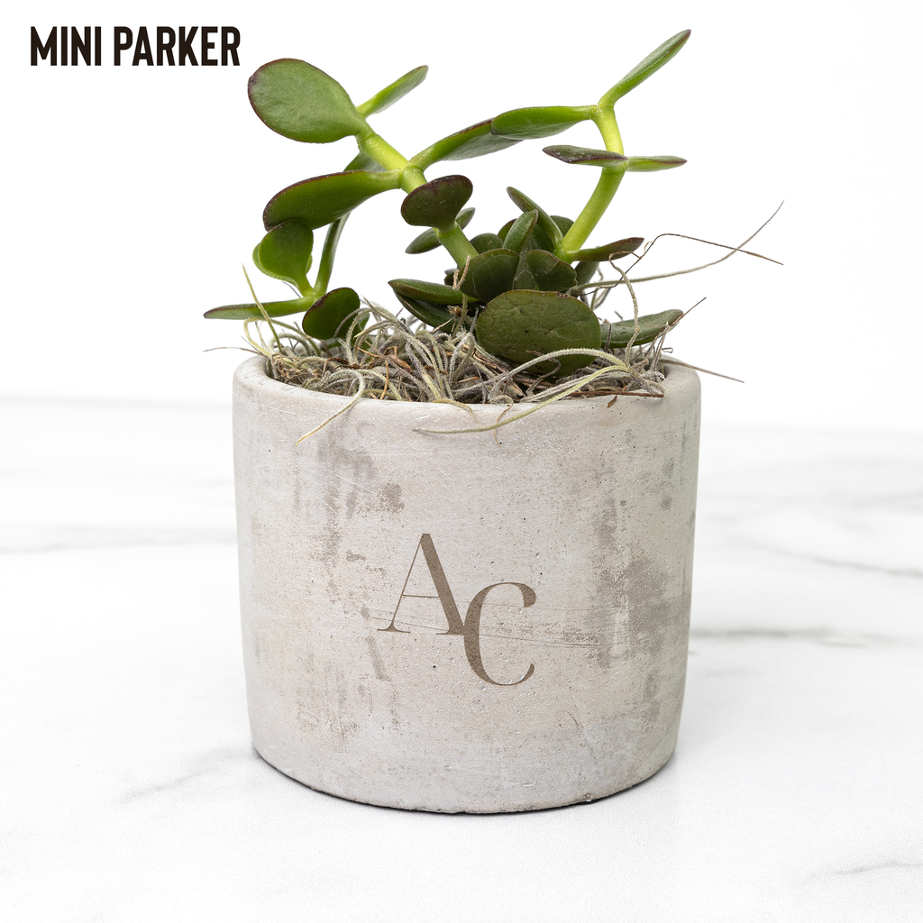 AutumnCollective_Desk_Plant_Parker_Mockup_Mockup.png