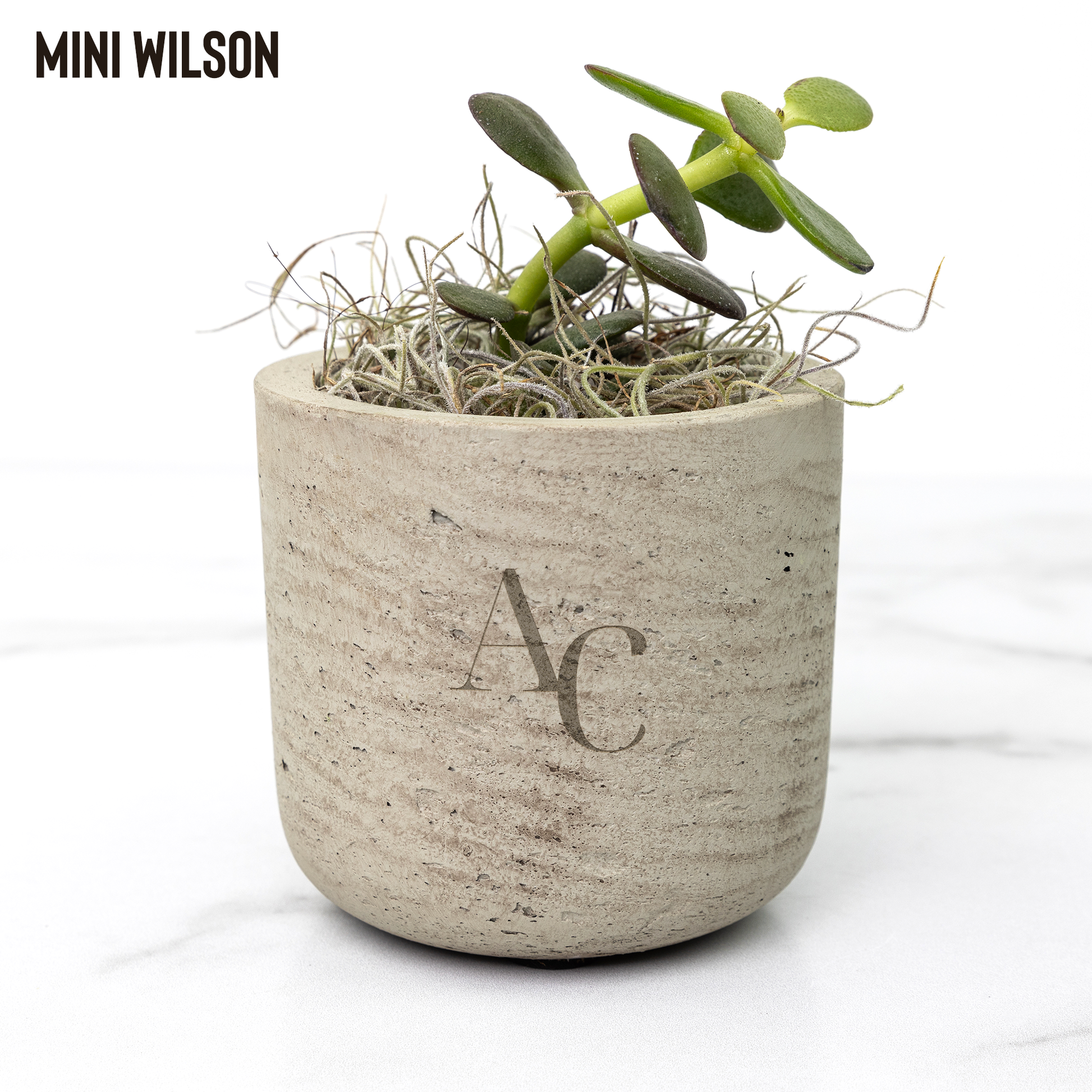 succulents desk AutumnCollective Desk Plants (Succulents) – AutumnCollectiveUS