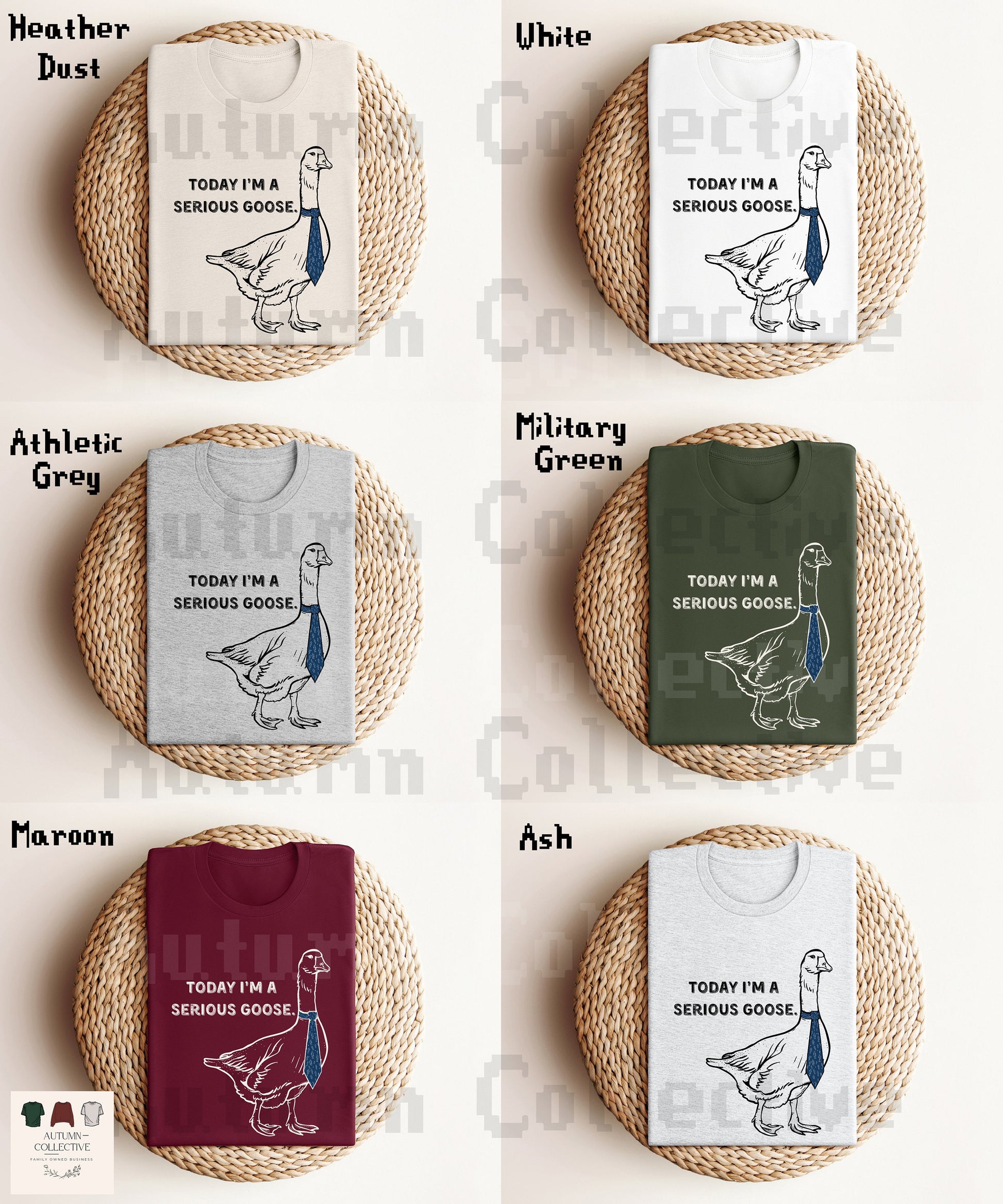 Today I'm a Serious Goose TShirt, Gift for Him or Her, Satire, What's up Brother, Goose Lover Shirt, Animal Lover, Honk, Funny, Bird Merch