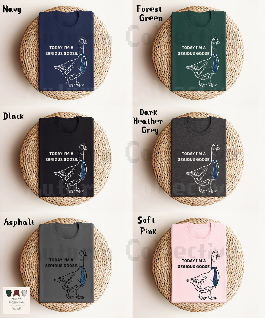 Today I'm a Serious Goose TShirt, Gift for Him or Her, Satire, What's up Brother, Goose Lover Shirt, Animal Lover, Honk, Funny, Bird Merch
