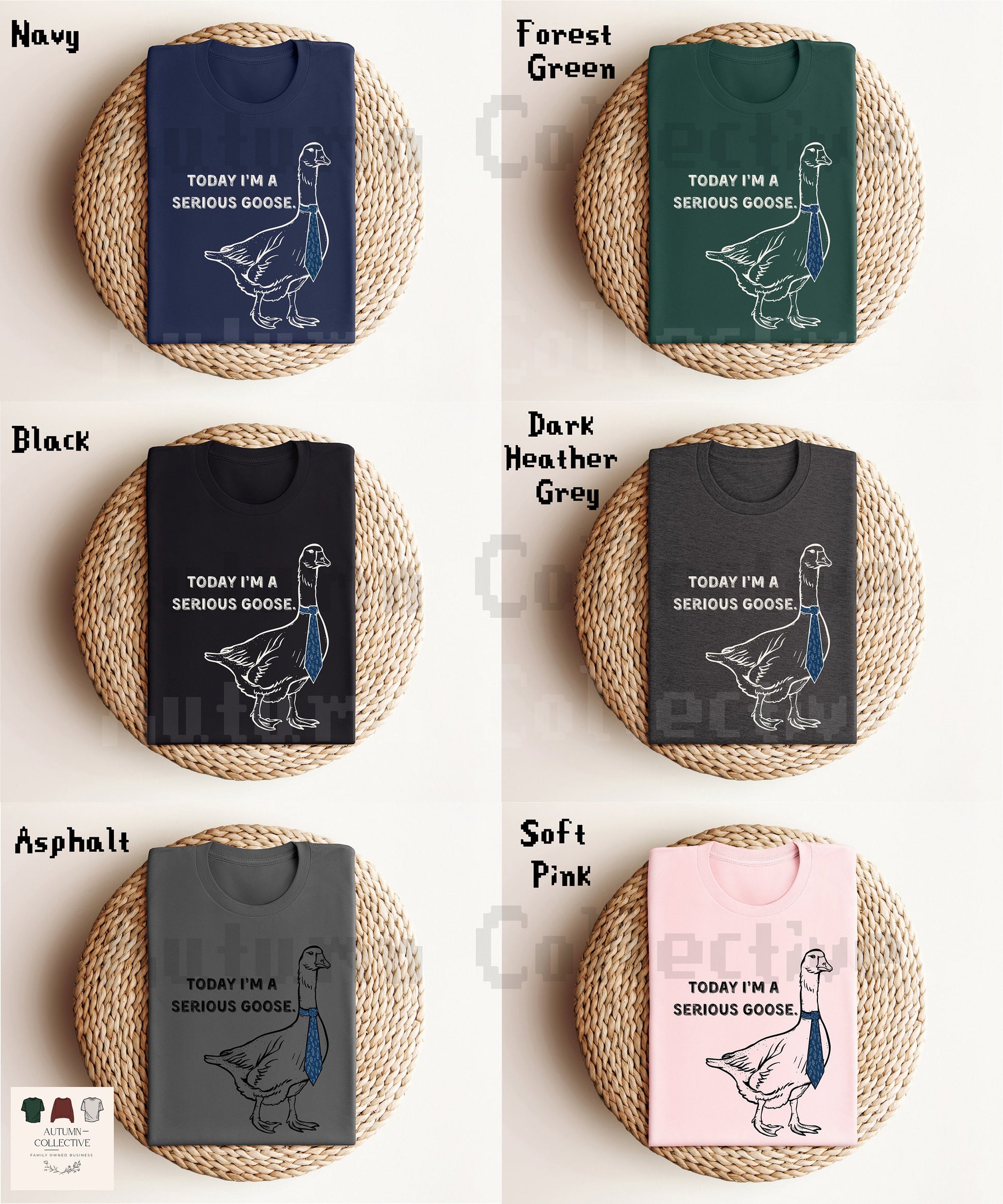 Today I'm a Serious Goose TShirt, Gift for Him or Her, Satire, What's up Brother, Goose Lover Shirt, Animal Lover, Honk, Funny, Bird Merch