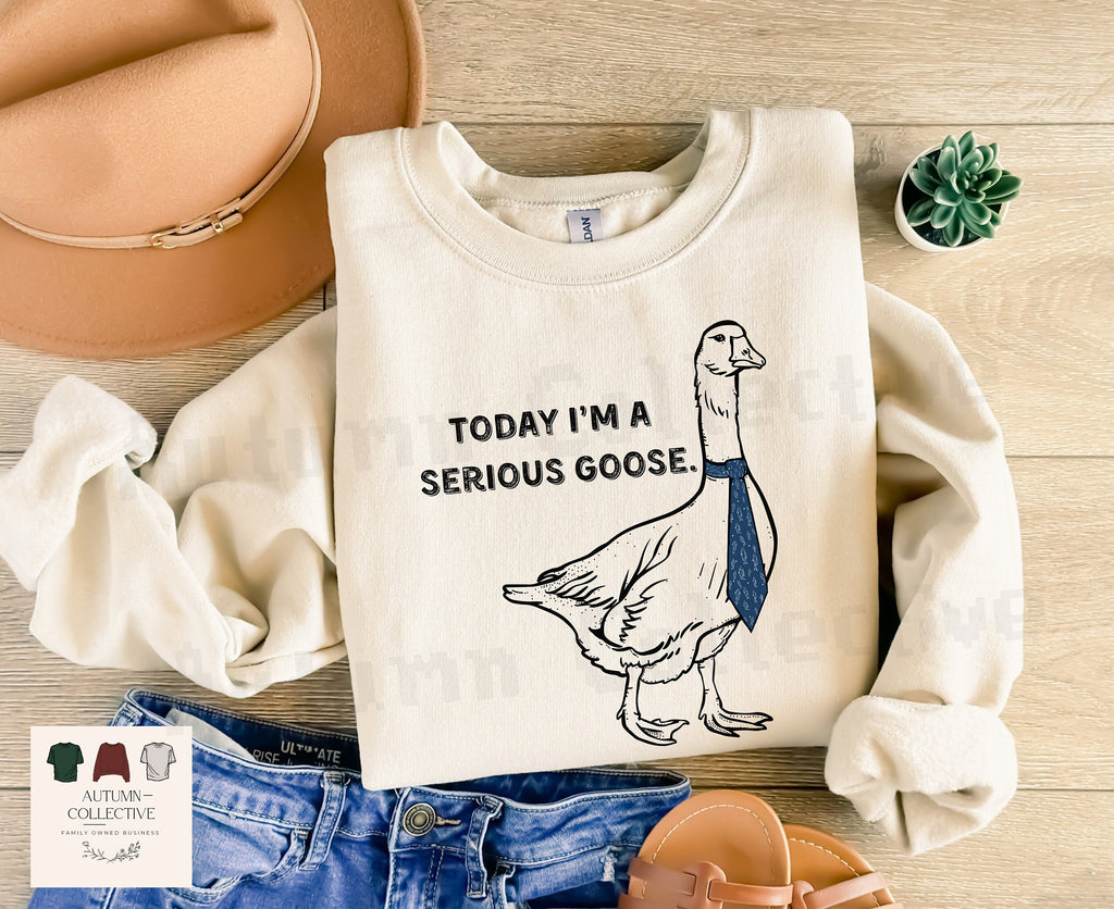Today I&#39;m a serious goose sweatshirt best seller
unisex crewneck